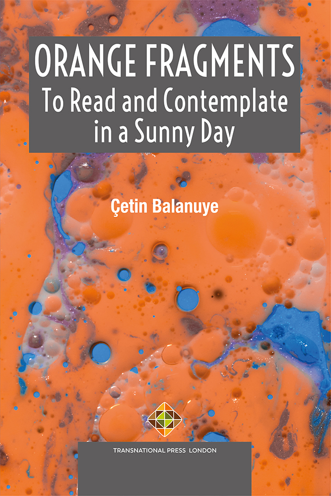 Orange Fragments to Read and Contemplate in a Sunny Day Cover Image