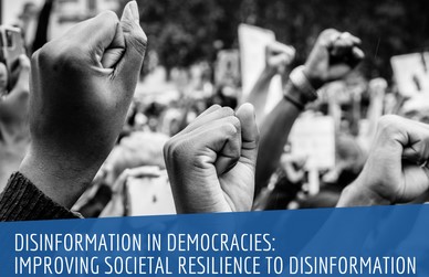 Disinformation in Democracies: Improving Societal Resilience to Disinformation Cover Image