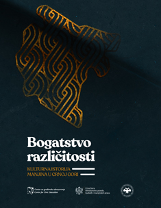 Education of the Roma population in Montenegro Cover Image