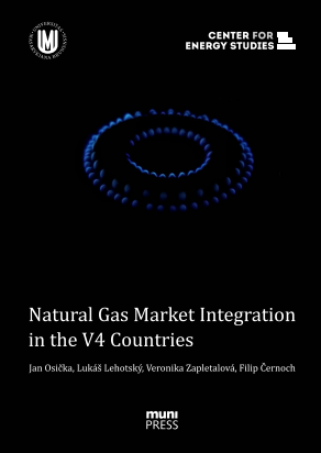 Natural Gas Market Integration in the V4 Countries Cover Image