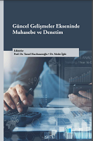 Cash Flow Statement Ratio Analysis: An Application in Borsa Istanbul Cover Image