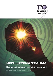 Building Peace in Complex Contexts of Psychosocial Trauma: An Integrative Framework Cover Image