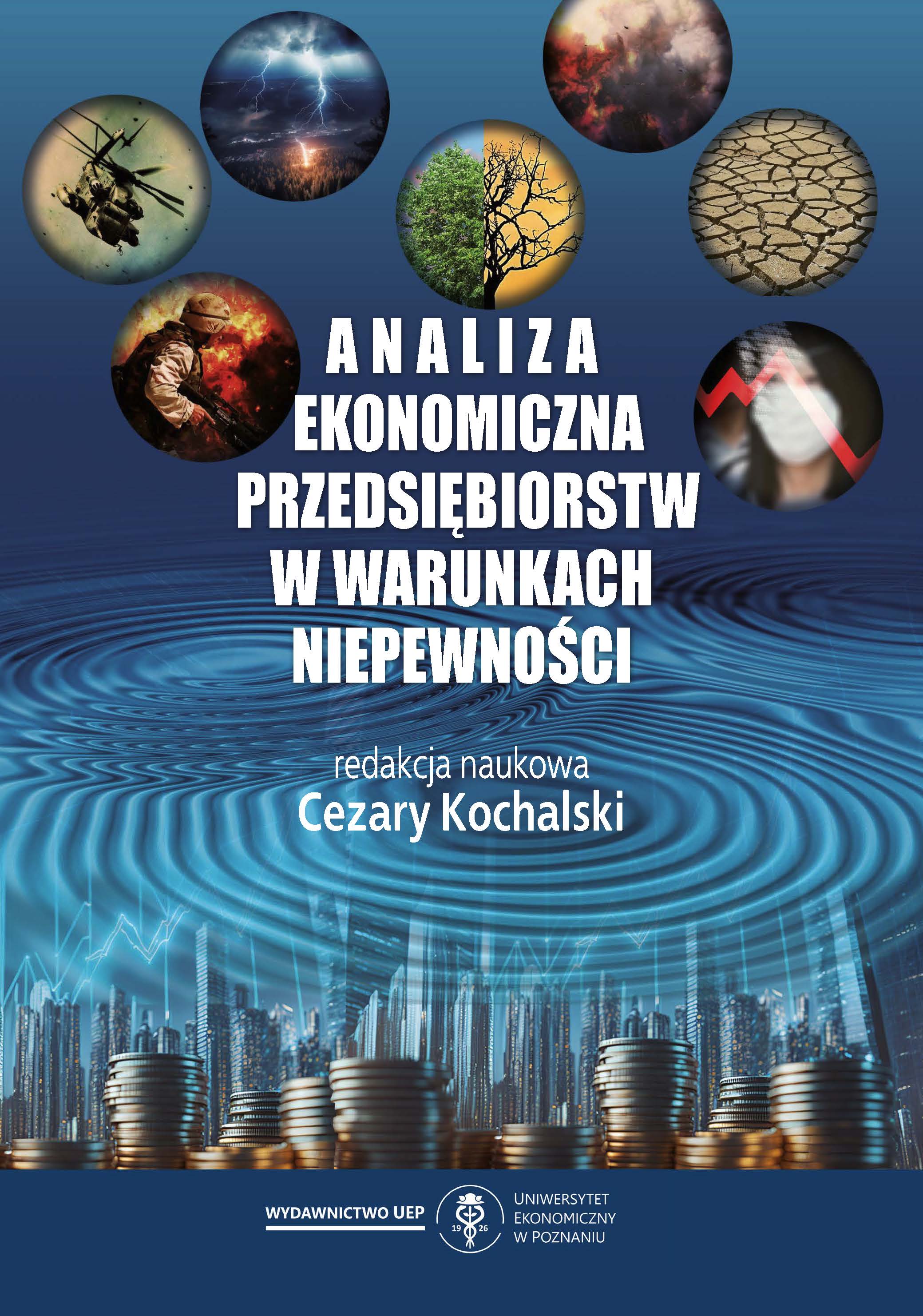 Economic analysis of an enterprise in the central bank Cover Image