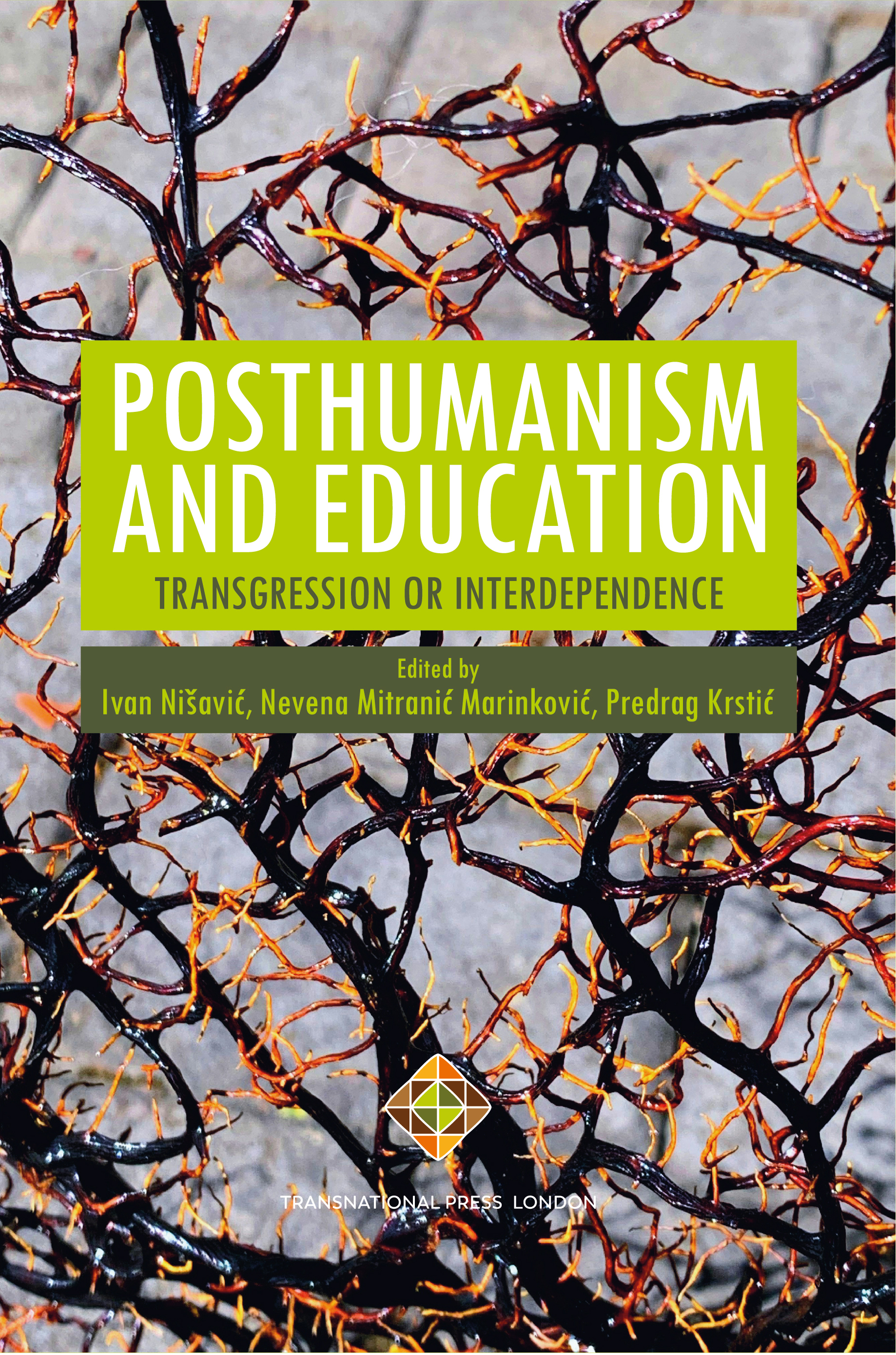 Critical Remarks About Posthumanism Cover Image