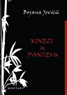 Chinese in Pančevo Cover Image