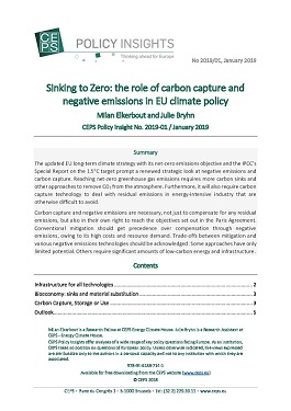 Sinking to Zero: the role of carbon capture and negative emissions in EU climate policy
