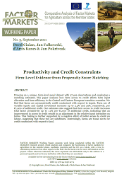 Productivity and Credit Constraints. Firm-Level Evidence from Propensity Score Matching Cover Image