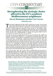 Strengthening the strategic choice offered to the EU’s southern Mediterranean neighbours