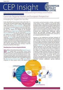 Common Regional Market and European Perspective Cover Image