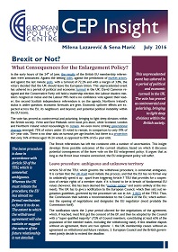 Brexit or Not? What Consequences for the Enlargement Policy? Cover Image