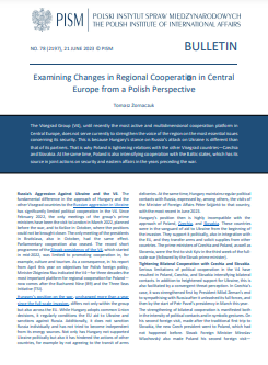 Examining Changes in Regional Cooperation in Central Europe from a Polish Perspective Cover Image