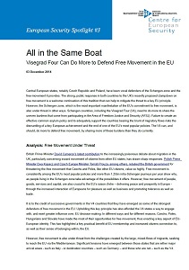 All in the Same Boat - Visegrad Four Can Do More to Defend Free Movement in the EU