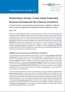 Responding to Sousse: Tunisia Needs Sustainable Economic Development Not a Security Crackdown - It is time for the EU to support initiatives tackling the economic stagnation, unreformed security system and marginalization of peripheries that feed rad