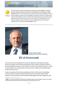 EU at Crossroads Cover Image