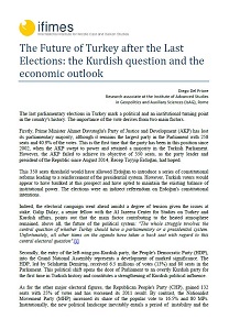 The Future of Turkey after the Last Elections: the Kurdish question and the economic outlook