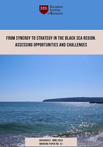 From Synergy to Strategy in the Black Sea Region. Assessing Opportunities and Challenges Cover Image