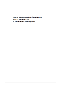 Needs Assessment on Small Arms and Light Weapons in Bosnia and Herzegovina