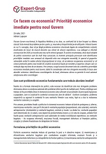 Ce facem cu economia? Priorități economice imediate pentru noul Guvern