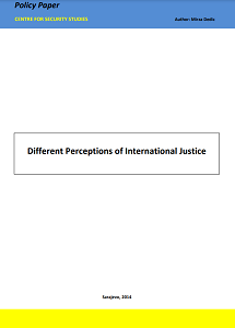 Different Perceptions of International Justice