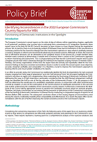 Identifying Inconsistencies in the 2022 European Commission’s Country Reports for WB6