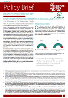 Financing Environmental Protection at the Local Level: The Planning of the Budgetary Funds