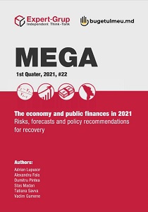 MEGA - Moldova Economic Growth Analysis № 22 / 2021