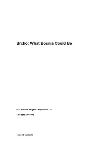 Brcko: What Bosnia Could Be