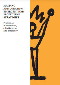 Mapping and Curating Emergent HRD Protection Strategies – Protection Mechanisms, Effectiveness and Efficiency