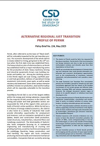 CSD Policy Brief №. 134: Alternative Regional Just Transition Profile of Pernik.