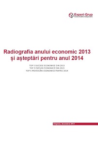 Radiografia anului economic 2013 și așteptări pentru anul 2014