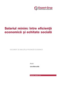 Salariul minim: între eficientă economică și echitate socială