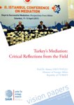 Turkey’s Mediation: Critical Reflections from the Field Cover Image