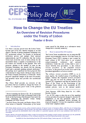 №215. How to Change the EU Treaties. An Overview of Revision Procedures under the Treaty of Lisbon Cover Image