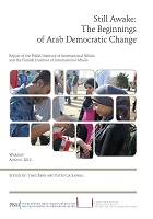 Still Awake-The Beginnings of Arab Democratic Change