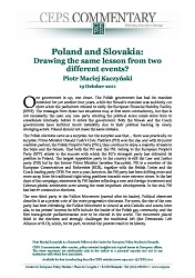Poland and Slovakia: Drawing the same lesson from two different events?