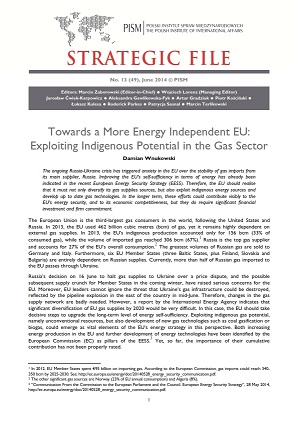 №49: Towards a More Energy Independent EU: Exploiting Indigenous Potential in the Gas Sector