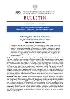 Protecting the Amazon Rainforest: Regional and Global Perspectives