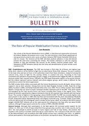 The Role of Popular Mobilisation Forces in Iraqi Politics Cover Image