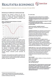REALITATEA ECONOMICĂ - 2012-29