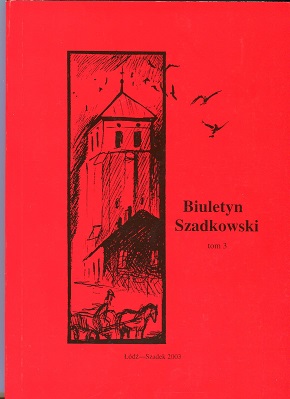 Spatial and economic charakteristic of Wielka Wieś Cover Image