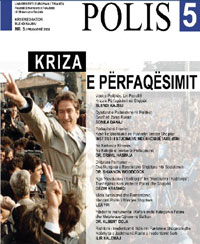 Revision of Irredentization: Social Case Factors and Foreign Interventions in the Case of Serbian Irredentism Cover Image