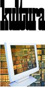 Internet Magazines In Libraries Cover Image