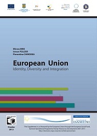 Policy Cohesion of the European Union a Perspective on the Management Authority for the Sectoral Operational Programme on Transport 2007 - 2013 Cover Image