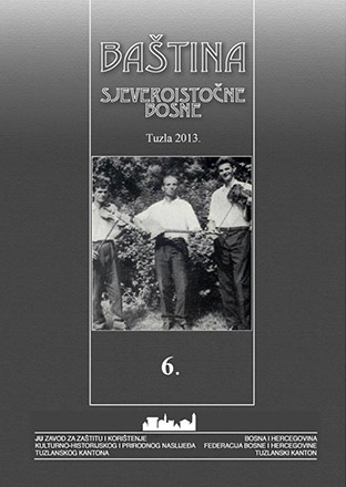 TOMBSTONES NECROPOLIS ON MRAMORJE LOCALITY IN BUČJE SETTLEMENT, SREBRENICA MUNICIPALITY Cover Image