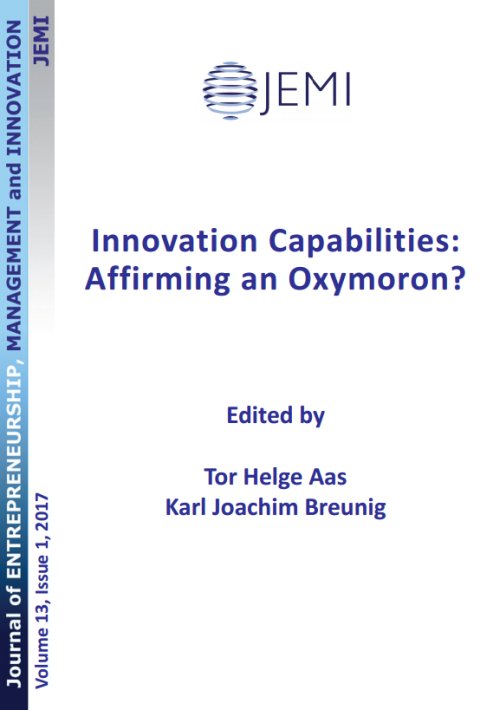 A Conceptual Framework to Represent the Theoretical Domain of “Innovation Capability” in Organizations