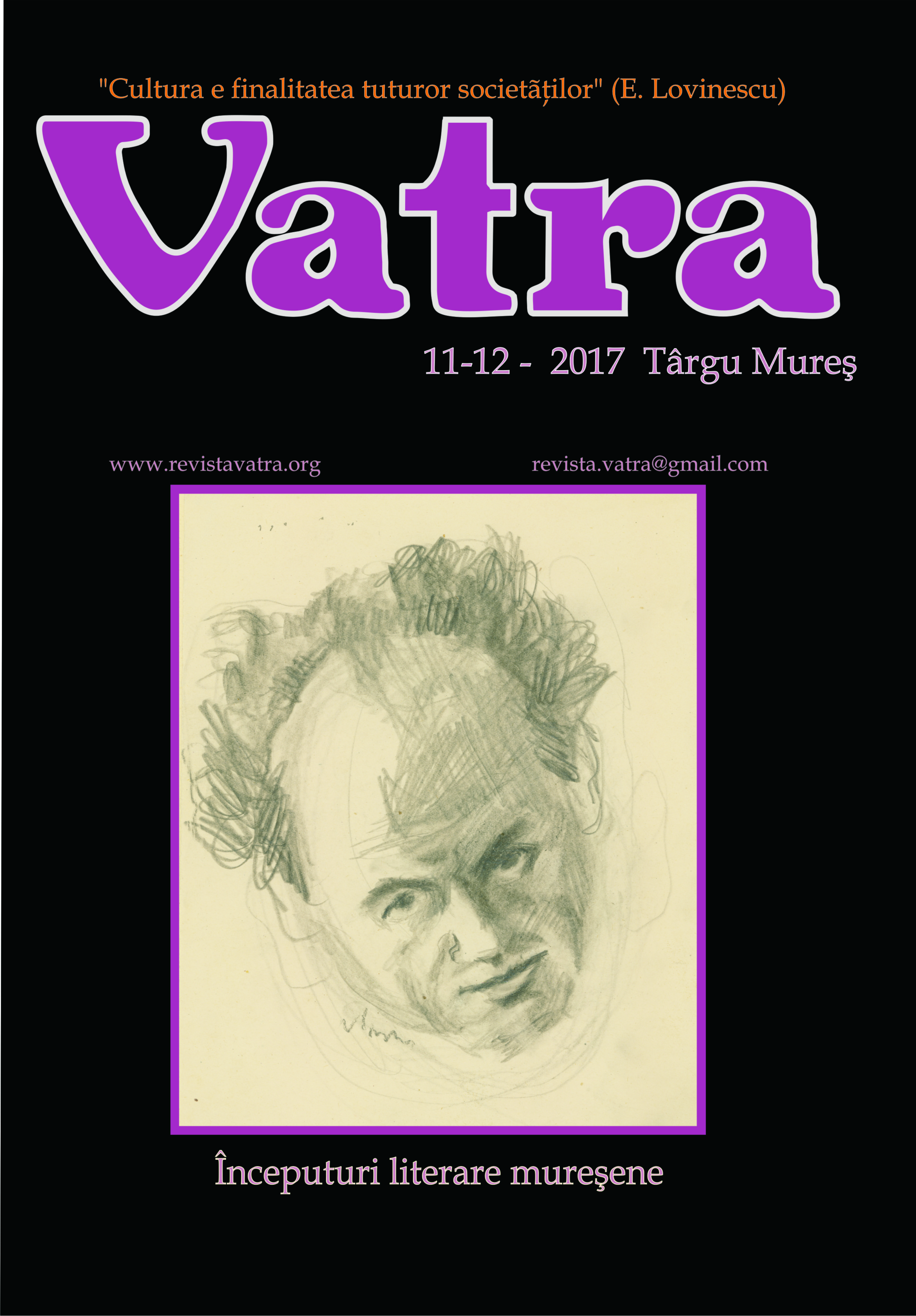 Literature of Targu-Mures Cover Image