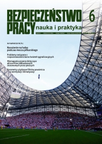 Exposure to noise during a football match Cover Image