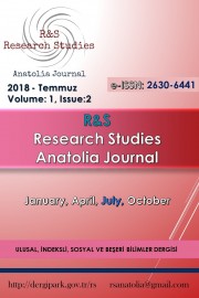 TÜRKİYE ŞİŞE VE CAM FABRİKALARI A.Ş. KİMYASALLAR GRUBUNDAN SODA SANAYİİ A.Ş. 2013-2017 YILLARI ARASI MALİ TABLOLARININ FİNANSAL ANALİZ TEKNİKLERİNDEN ORAN ANALİZ YÖNTEMİ İLE İNCELENMESİ