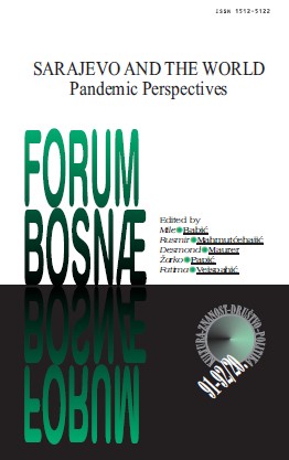 THE PANDEMIC AND BOSNIAN DEVELOPMENT CHALLENGES Cover Image