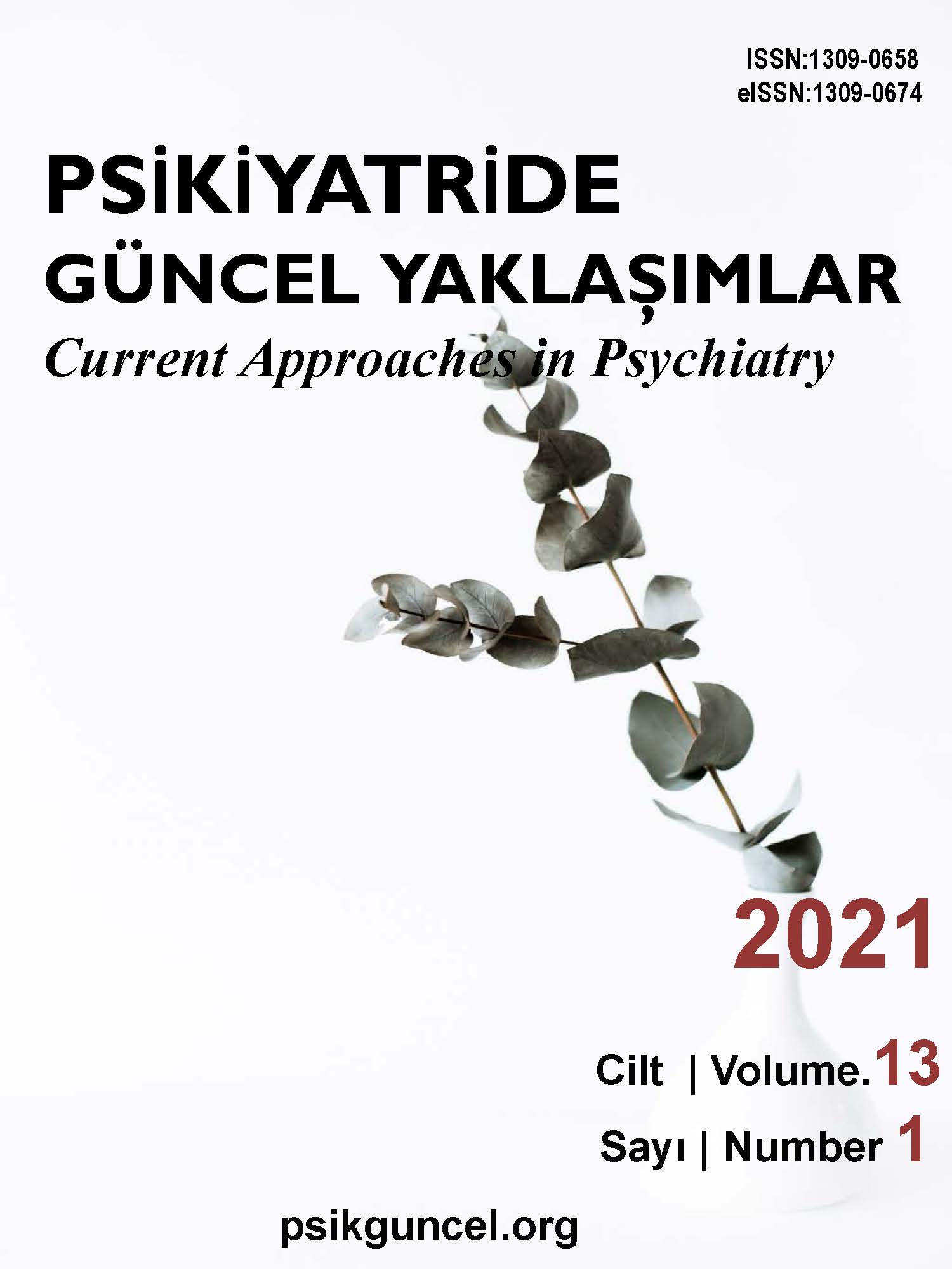 Psychosocial Rehabilitation Programs Applied to Patients with Schizophrenia by Psychiatric Nurses: Systematic Review Cover Image